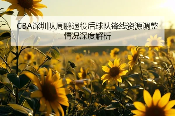 CBA深圳队周鹏退役后球队锋线资源调整情况深度解析