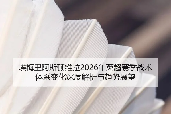 ai-mei-li-a-si-dun-wei-la-nian-ying-chao-sai-ji-zhan-shu-ti-xi-bian-hua-shen-du-jie-xi-yu-qu-shi-zhan-wang-2-511.jpg